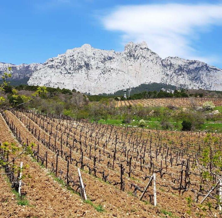 Продажа офисов, торговых площадей, салонов, кафе, ресторанов Сельскохозяйственные объекты