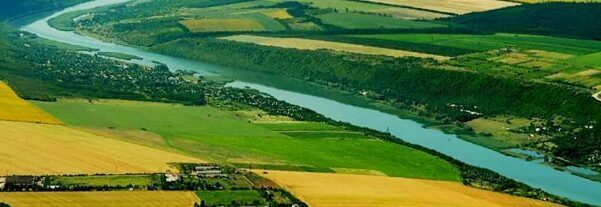 Земли под растеневодство, зерновые