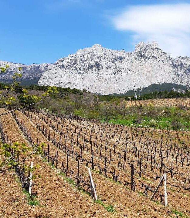 Сельхоз объекты Сельскохозяйственные объекты